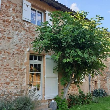Le Gite Du Carge D'Arlay Charnay-lès-Mâcon 외부 사진